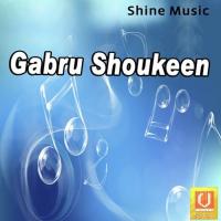 Gabru Shoukeen songs mp3