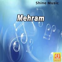 Mehram songs mp3