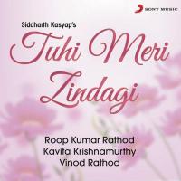 Tuhi To Meri Zindagi (Duet) Kavita Krishnamurthy,Roop Kumar Rathod Song Download Mp3