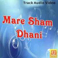 Sham Naam Ke Bhagto Resham Soni Song Download Mp3