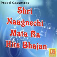 Shri Naagnechi Mata Ra Hits Bhajan songs mp3