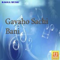 Gavaho Sachi Bani songs mp3