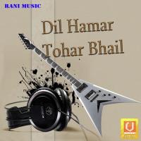 Dil Hamar Tohar Bhail songs mp3