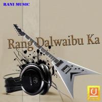 Saali Tu Satal Raha Jitu Deewana Song Download Mp3