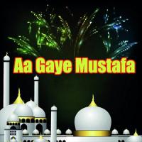 Aaqa Ko Pukar Kahlid Rizwan Song Download Mp3