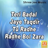 Radhe Radhe Bol Zara Mohan Shyam Song Download Mp3