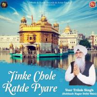 Jinke Chole Ratde Pyare Veer Trilok Singh Song Download Mp3