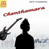 Chenthamara songs mp3