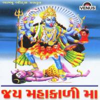 Pava Te Gadhathi Utarya Re Vatsala Patil,Rekha Trivedi,Shailendra Bharti Song Download Mp3