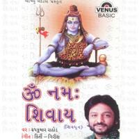 Om Namah Shivay - Shivdhun Roop Kumar Rathod Song Download Mp3