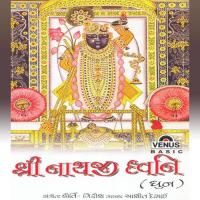 Shri Nathji Dhwani - Dhun songs mp3
