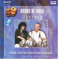Ecstasy - Ust. Zakir Hussain Alla Rakha songs mp3