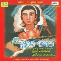 Luhara Phasala songs mp3