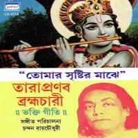 Tomar Sristir Majhe songs mp3