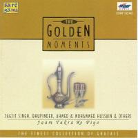 T. G. M - Jagjit Bhupinder Ahmed M. Hussain - Others songs mp3
