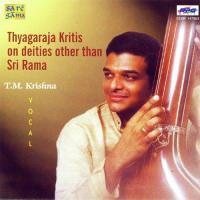 T. M. Krishna - Thyagaraja Krithis On Dieties songs mp3
