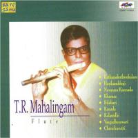 Paridanamichite Raga Bilahari T. R. Krishna Song Download Mp3
