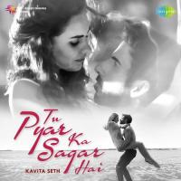 Tu Pyar Ka Sagar Hai - Kavita Seth Kavita Seth Song Download Mp3