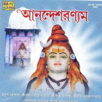 Anandesharanyam songs mp3