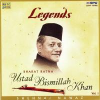 Bharat Ratna Ustad Bismillah Khan - Shehnai Nawaz - 1 songs mp3