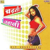 Chadti Jawani Meri Chall Mastani songs mp3