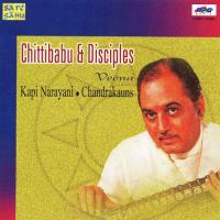 Chittibabu - Sarasa Samadhana Veena songs mp3