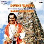 Karpagavalli Kadri Gopalnath Song Download Mp3