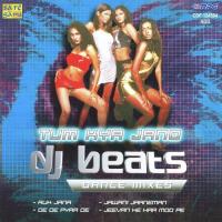 Dj Beats - Tum Kya Jano songs mp3