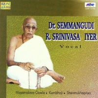 Dr. Semmangudi R. Srinivasa Iyer - Vocal songs mp3