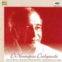 Dr. Vasant Rao Deshpande Compilation songs mp3