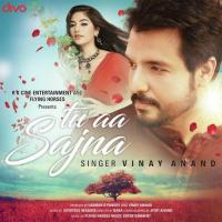Tu Aa Sajna Vinay Anand Song Download Mp3