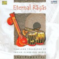 Eternal Ragas - Inst Timeless Treasures - Instrument songs mp3