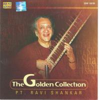 Puriya Dhanashri Brief Alap N Gat Pt.Ravi Shankar Pandit Ravi Shankar Song Download Mp3