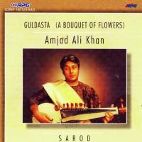 Shiva Ranjini Ustad Amjad Ali Khan Recalling Our Love Ustad Amjad Ali Khan Song Download Mp3