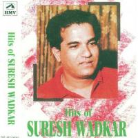 Hits Of Suresh Wadkar songs mp3