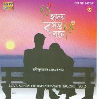 Hriday Basantabone - Love Songs Of Tagore Vol - 3 songs mp3