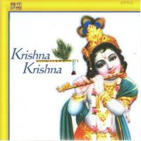 Krishna Krishna - Bandishein N Bhajans songs mp3