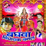 Baghwa Vidhayak Banal songs mp3