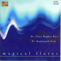 The Rainbow Pt.Vijay Raghav Rao Pt. Vijay Raghav Rao Song Download Mp3