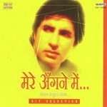 Rang Barse Bheege Chunarwali Amitabh Bachchan Song Download Mp3