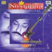 Nostalgia - Sunil Ganguly - Film Tunes On Elec. Guit songs mp3