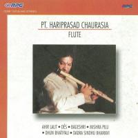 Pt. Hari Prasad Chaurasia - Flute songs mp3