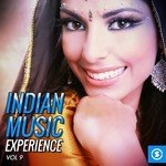 Indian Music Experience, Vol. 9 songs mp3