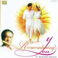 Remembering You - Pt. Hari Prasad Chaurasia songs mp3