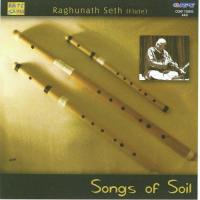 Songs Of Soil - Raghunath Seth songs mp3
