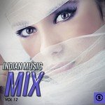 Indian Music Mix, Vol. 12 songs mp3