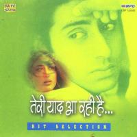 Teri Yaad Aa Rahi Hai Lata Mangeshkar,Amit Kumar Song Download Mp3