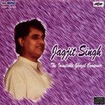 Raat Bhar Deeda E Namnaar Jagjit Singh,Asha Bhosle Song Download Mp3