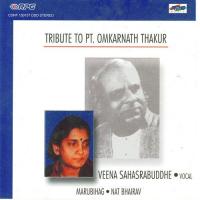 Tribute To Pt. Omkarnath Thakur - Veena songs mp3