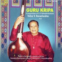 Trichur V. Ramchandran - Gurukripa - G. N. B - Vocal songs mp3